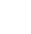 電動(dòng)蝶閥